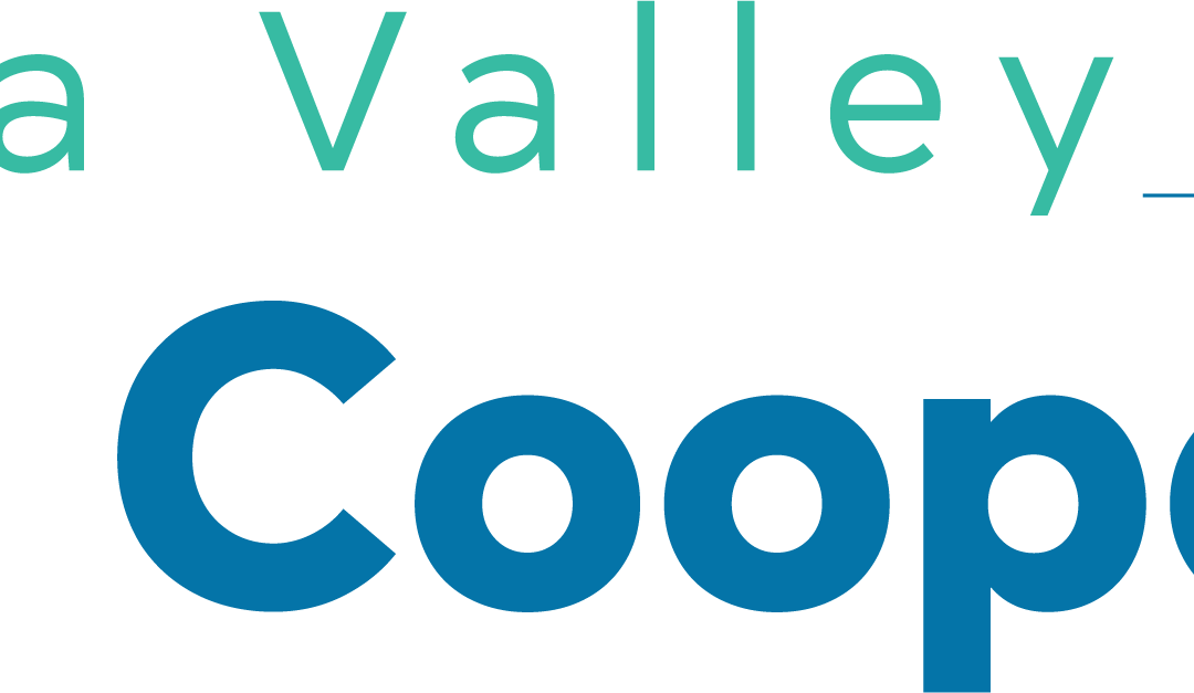 LOCAL BUSINESS & COMMUNITY LEADERS CREATE  CHIPPEWA VALLEY HEALTH COOPERATIVE